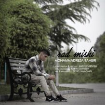 دانلود آهنگ جدید محمدرضا طاهری به نام رد میشی